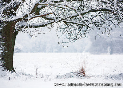 Winter landscape postcard