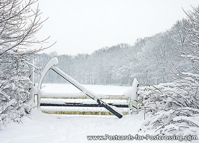 Winter fence postcard