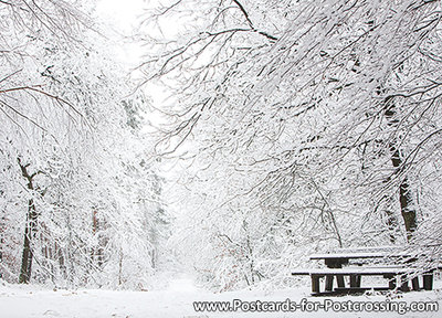 Picnic table postcard