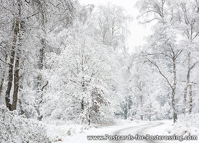 road in winter postcard