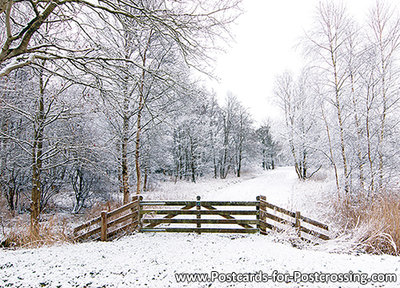 Winter fence postcard