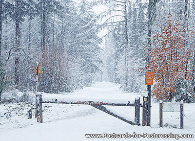 Winter lane postcard
