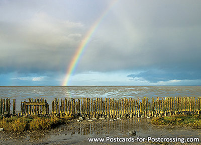 Rainbow postcard