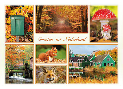 Postcard Groeten uit Nederland autumn 