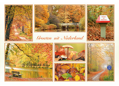 postcard groeten uit Nederland autumn