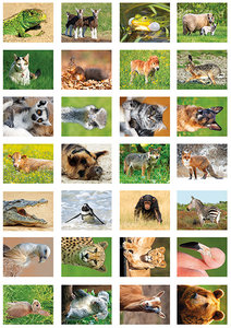 Animal sticker sheet