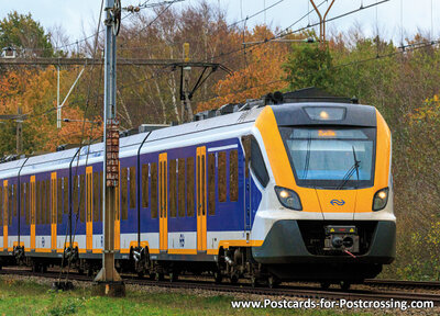 NS train in autumn postcard