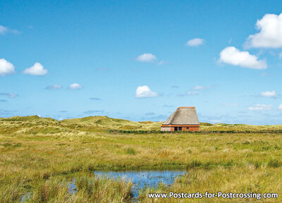 Sheepfarm postcard