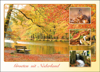postcard groeten uit Nederland Autumn