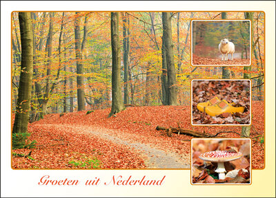 postcard groeten uit Nederland