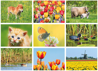 Postcard set spring - 9 postcards with spring motif 