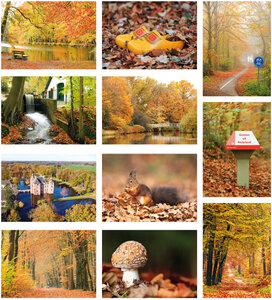 Autumn postcards - set with 11 postcards with Autumn moti