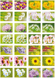 Flower sticker sheet