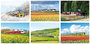 Train postcards set