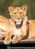 Zoo postcards