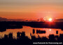 Nature postcards