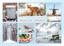 Dutch postcards