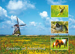 Ansichtkaart Groeten uit Nederland 004 Ansichtkaart Groeten uit Nederland 004