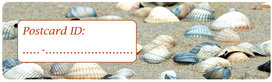 Postcrossing ID stickers | 6x shells Postcrossing ID stickers | 6x shells