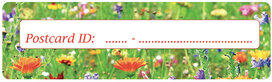 Postcrossing ID stickers | 6x flowers Postcrossing ID stickers | 6x flowers
