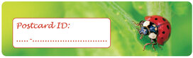 Postcrossing ID stickers | 6x ladybug Postcrossing ID stickers | 6x ladybug