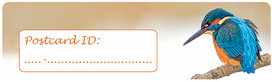 Postcrossing ID stickers | 6x Kingfischer Postcrossing ID stickers | 6x Kingfischer