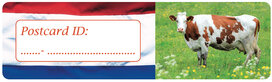 Postcrossing ID stickers | 6x Dutch Flag + cow Postcrossing ID stickers | 6x Dutch Flag + cow