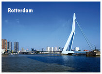 Rotterdam postcards | Erasmus bridge postcard