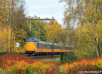 Railway postcards | NS train in autumn postcard Railway postcards | NS train in autumn postcard