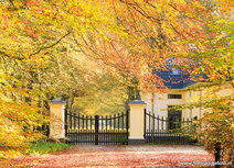 Autumn postcards | Het Loo postcard Autumn postcards | Het Loo postcard