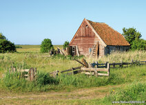 Landscape postcards | Sheep farm on Texel postcard