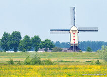 Mill postcards | Batenburg standerd mill postcard Mill postcards | Batenburg standerd mill postcard
