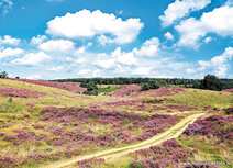 Landscape postcards | Posbank by Arnhem postcard Landscape postcards | Posbank by Arnhem postcard