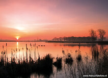 Sunset postcards | Leekstermeer sunrise postcard Sunset postcards | Leekstermeer sunrise postcard