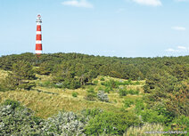 Lighthouse postcards | Bornrif lighthouse postcard