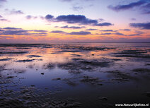 World heritage postcards | Wadden sea postcard World heritage postcards | Wadden sea postcard