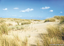 Landscape postcards | Dunes postcard