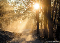 Sunset postcards | Dwingelderveld sunset postcard Sunset postcards | Dwingelderveld sunset postcard