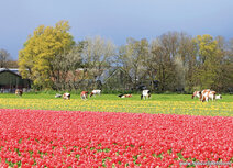 Landscape postcards |  Landscape postcards |