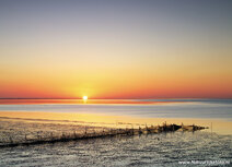 World heritage postcards | Wadden sea sunrise postcard World heritage postcards | Wadden sea sunrise postcard