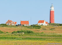 Lighthouse postcards | Texel lighthouse postcard