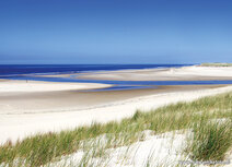 Landscape postcards | Slufter on Texel postcard