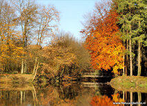 Autumn postcards | Bridge in autumn postcard Autumn postcards | Bridge in autumn postcard