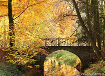 Autumn postcards | Bridge in autumn postcard Autumn postcards | Bridge in autumn postcard