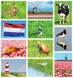 Postcard sets | Various images postcard set Postcard sets | Various images postcard set