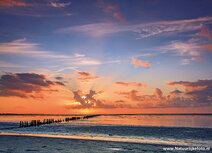 World heritage postcards | Wadden sea sunrise postcard World heritage postcards | Wadden sea sunrise postcard