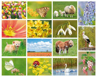 Postcard sets | Spring postcard set Postcard sets | Spring postcard set
