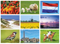 Postcard sets | Various images postcard set Postcard sets | Various images postcard set