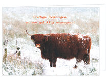 Christmas cards from animals | Scottish highlander