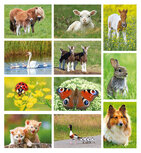 Cheap postcard set Cheap postcard set